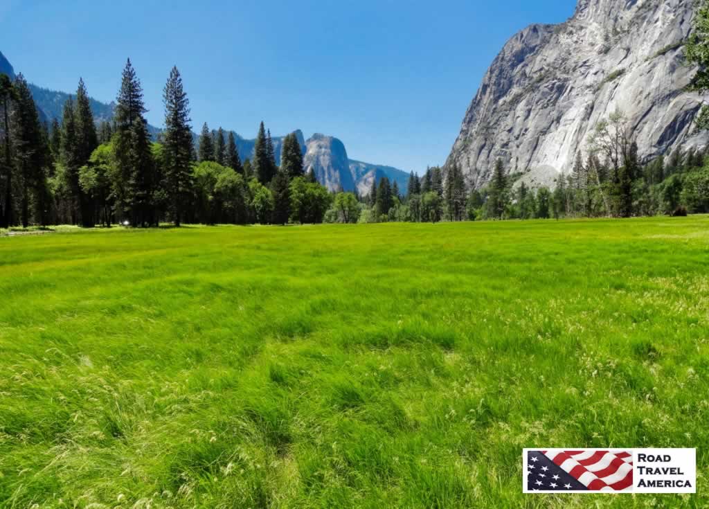 The lush green meadows of Yosemite National Park in California