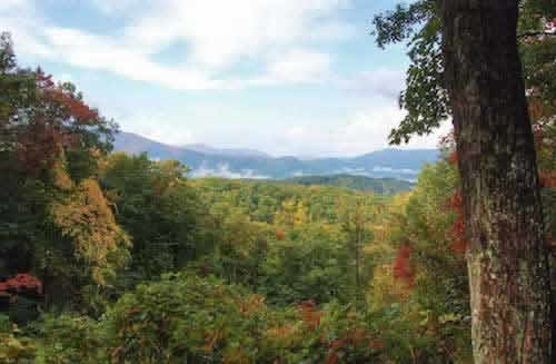 Great Smoky Mountains National Park vista in the fall