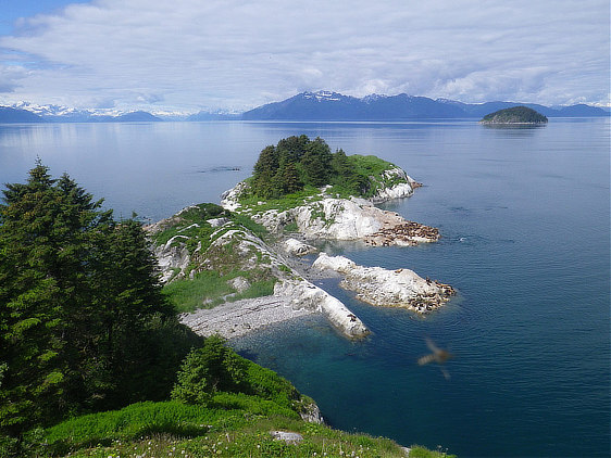 South Marble Island at Glacier Bay National Park in Alaska
