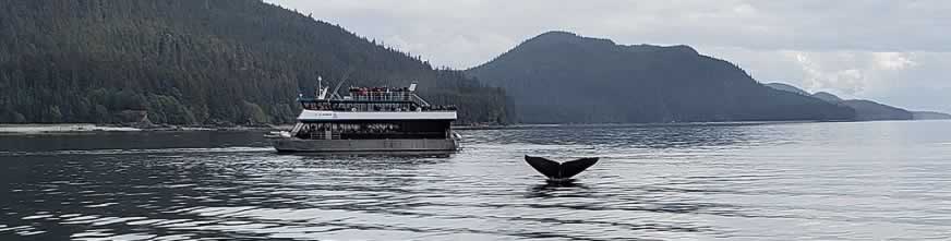 Whale watching boat near Juneau