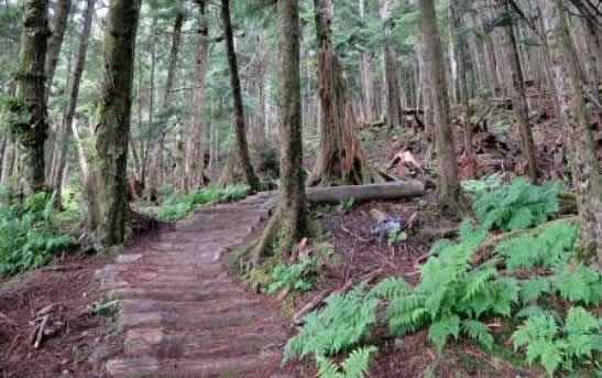 Hiking in the Hoonah wilderness