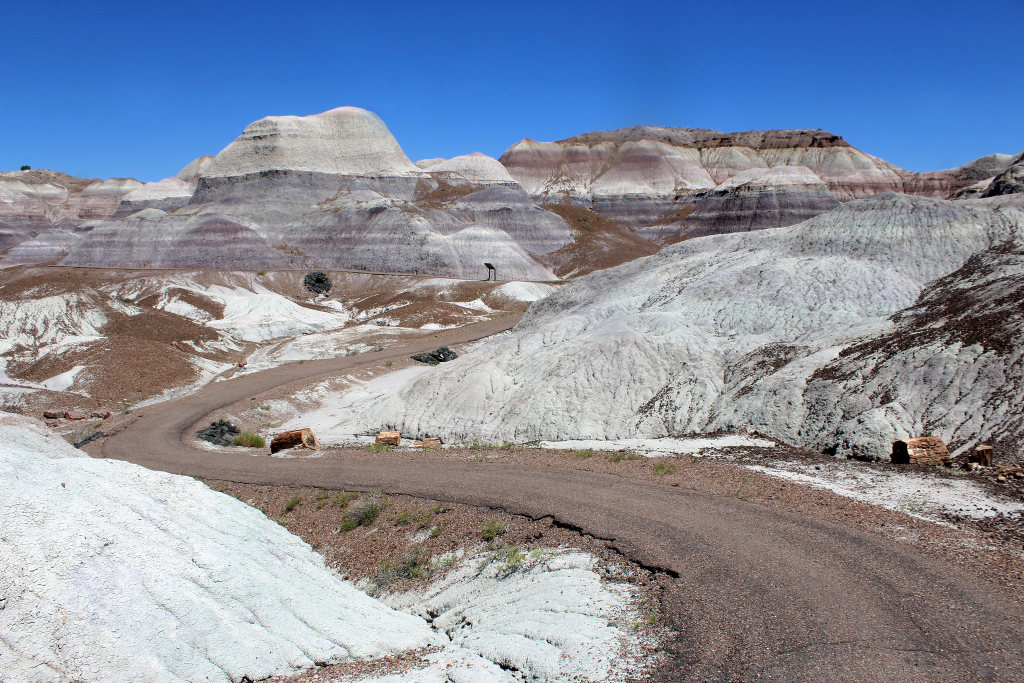 Blue Mesa Trail winding through the Petrified Forest National Park 