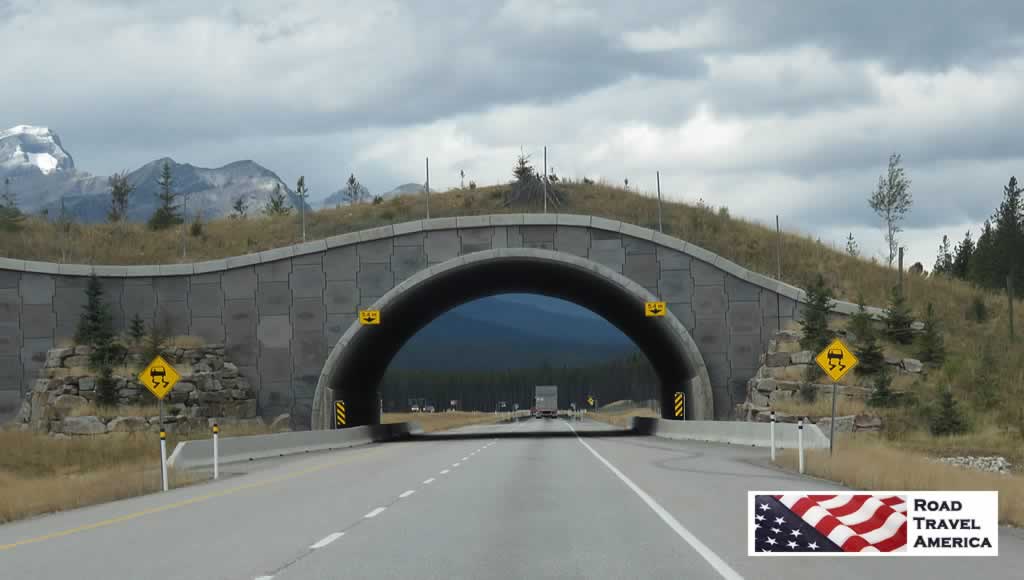 Wildlife crossing overpass on the Trans Canada Highway near Banff