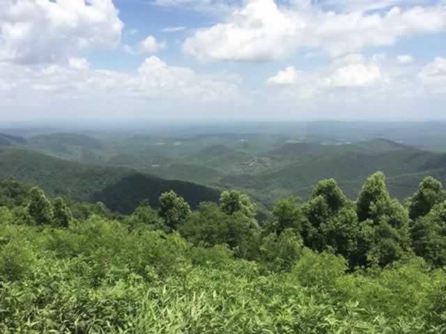 Shades of blue and green in the summer, along the Blue Ridge Parkway
