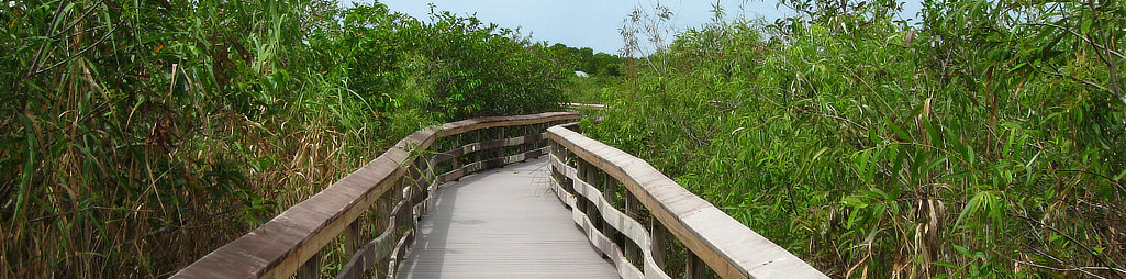Boardwalk along the Anhinga Trail in Everglades National Park