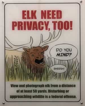 Elk, and other animals, need privacy too! View and photograph elk from a distance of at 50 yards