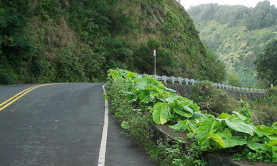The Road to Hana in Hawaii