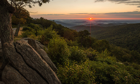 Shenandoah National Park is located in the Blue Ridge Mountains in the State of Virginia. The park is linear in nature, mostly in a north to south orientation. On the west side of the park is the Shenandoah River and Shenandoah Valley. The Virginia Piedmont lies to the east of the park.