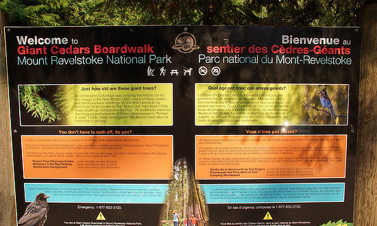 Welcome to the Giant Cedars Boardwalk in Mount Revelstoke National Park