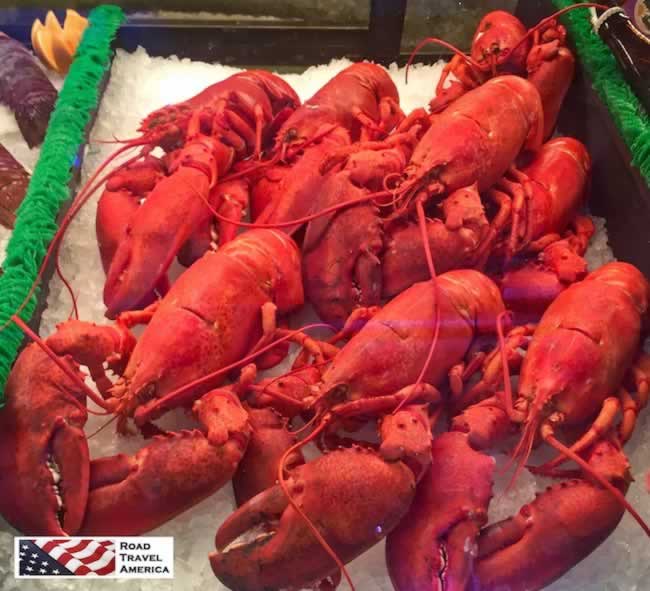 Lobsters on ice in Newport, Rhode Island
