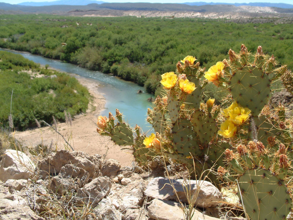 Overview of the Rio Grande River in Big Bend National Park