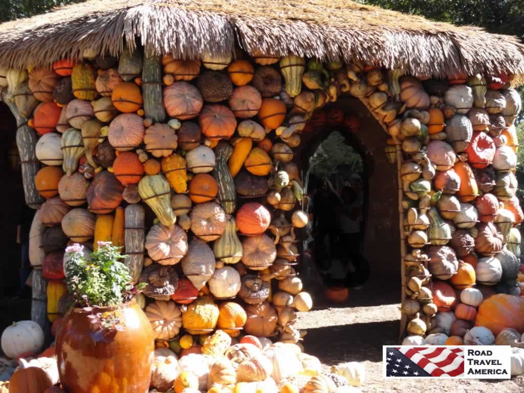 A house of pumpkins and squash at the Dallas Arboretum in the Fall