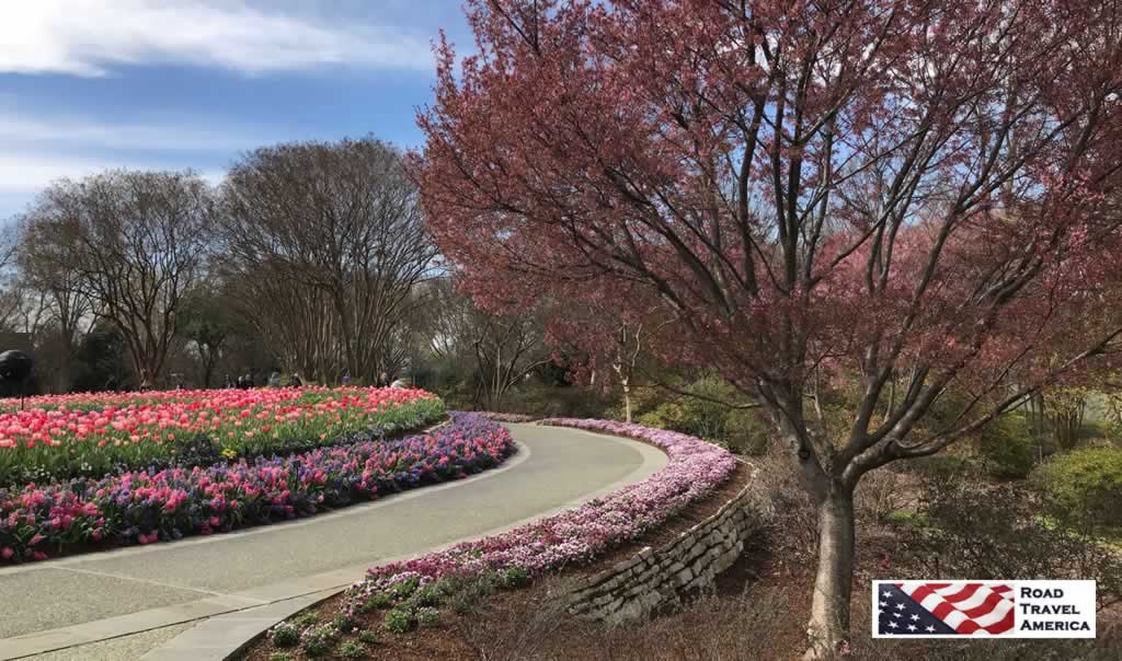 Springtime at the Dallas Arboretum