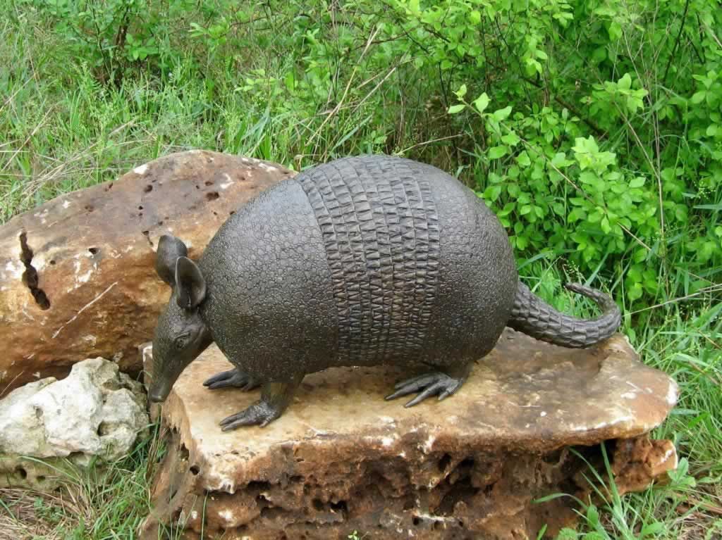 Armadillo sculpture at the Wildflower Center