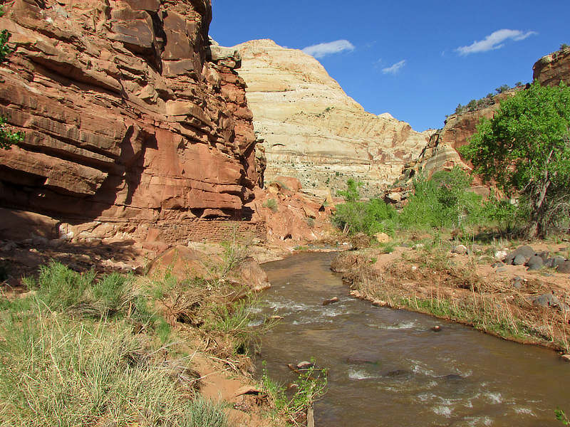 Quiet mountain stream at Capitol Reef National Park