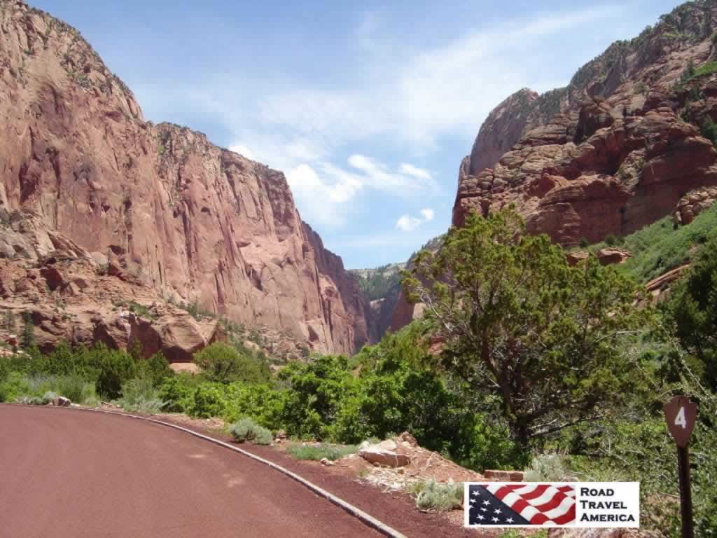 Scene along the Kolob Canyons Road in Zion National Park