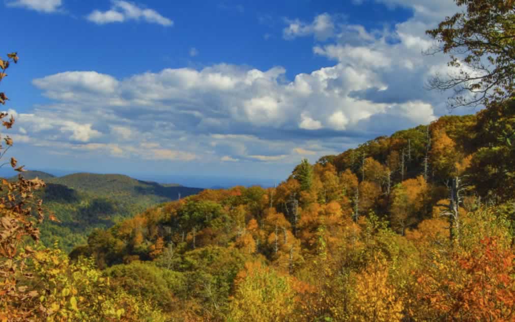 Fall foliage for miles and miles in Virginia, in Shenandoah National Park