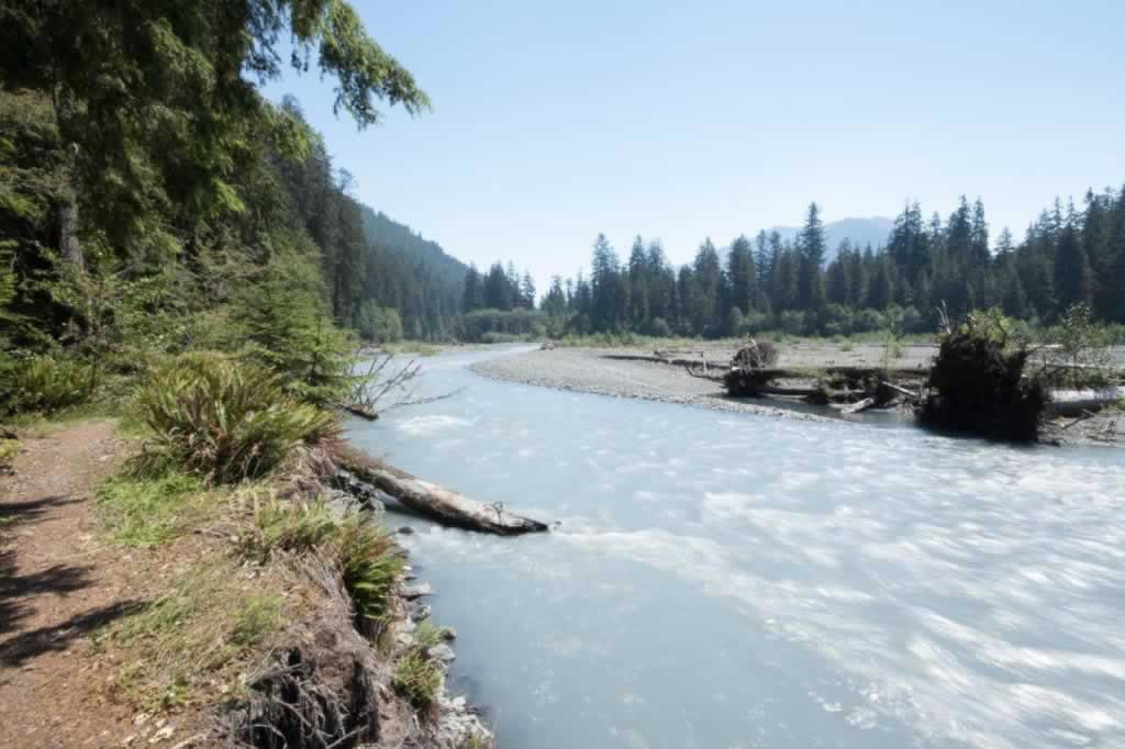Along the banks of the Hoh River in Olympic National Park