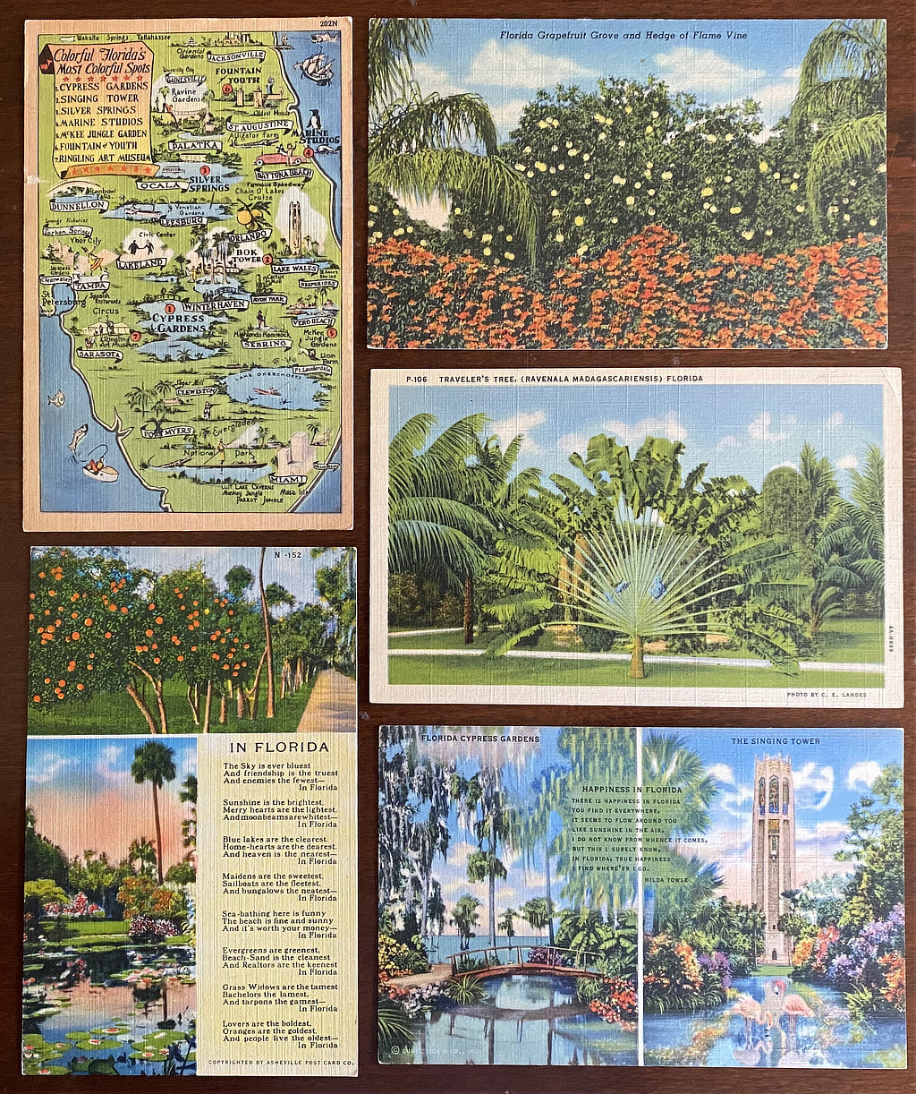 Vintage Florida picture postcards for sale