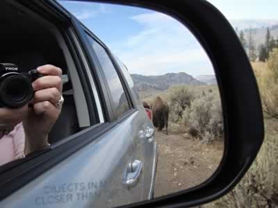 Road Travel America staff touring Yellowstone National Park in Wyoming